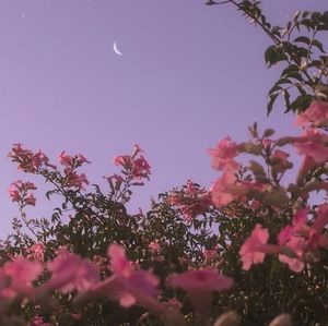 Meet your Posher, Leigh